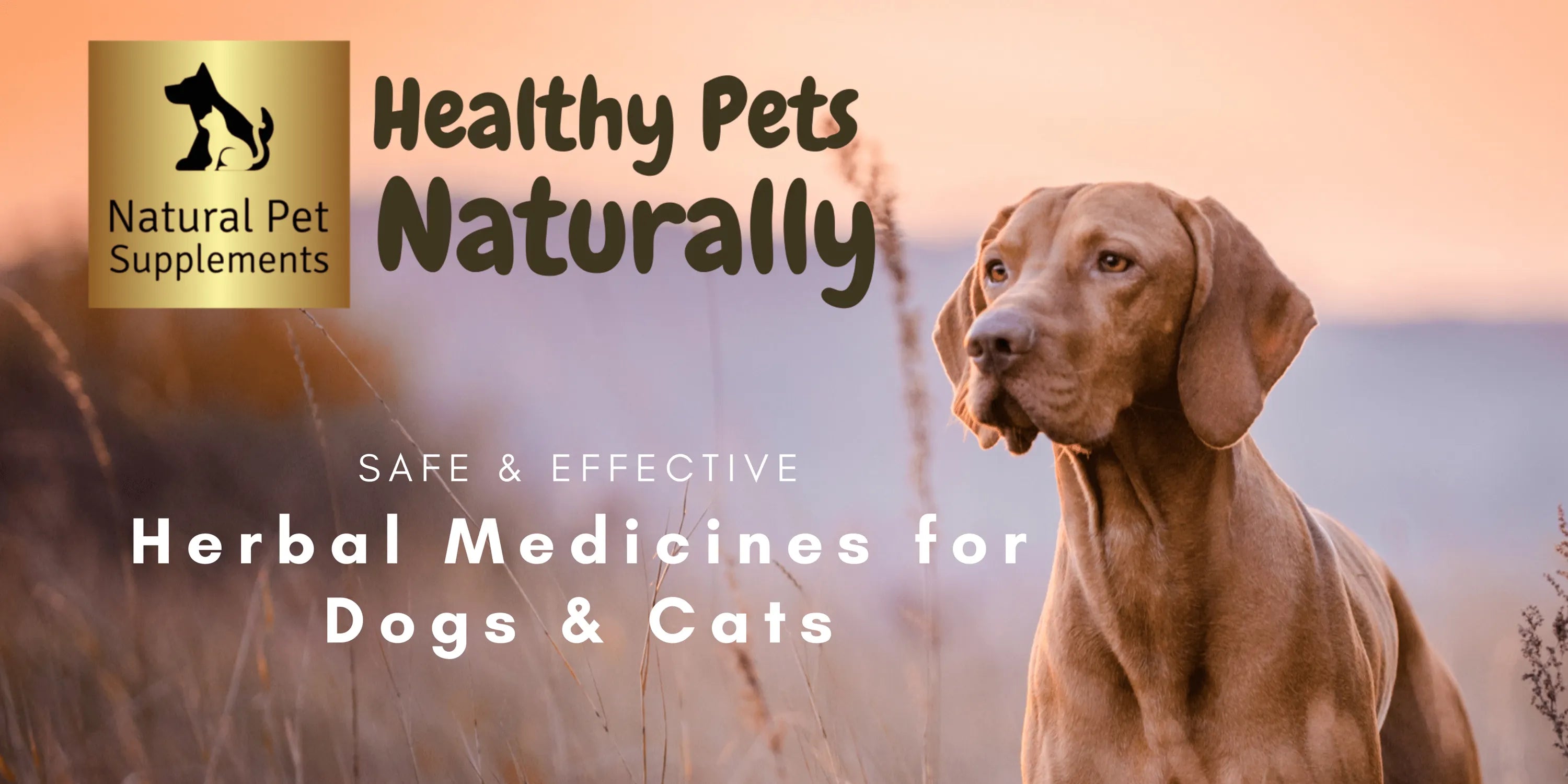 Natural clearance pet supplements