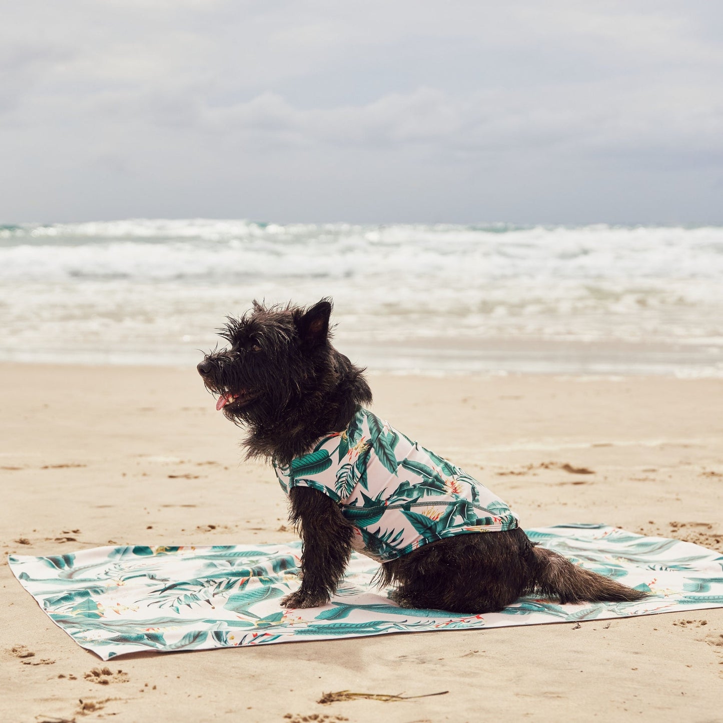 Lightweight Microfibre Tropical Green Leaves Dog Travel Beach Towel Australia