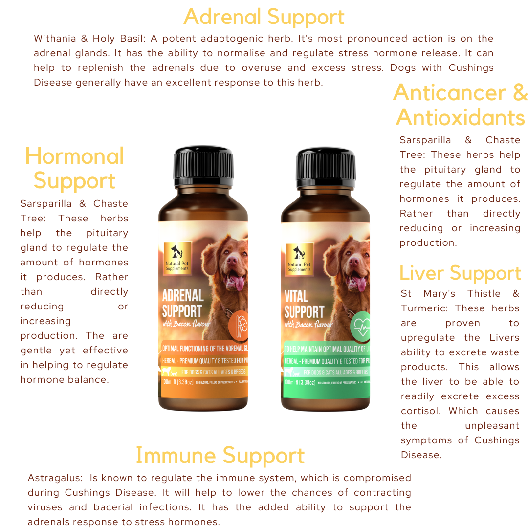 Cushings Kit, Herbal Tinctures For Dogs and Cats