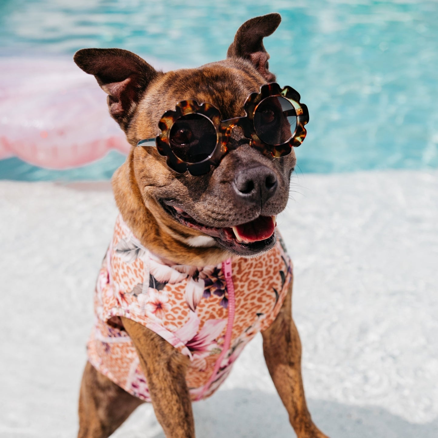 Floral Animal Print Sun Protective Dog Rashie Australia