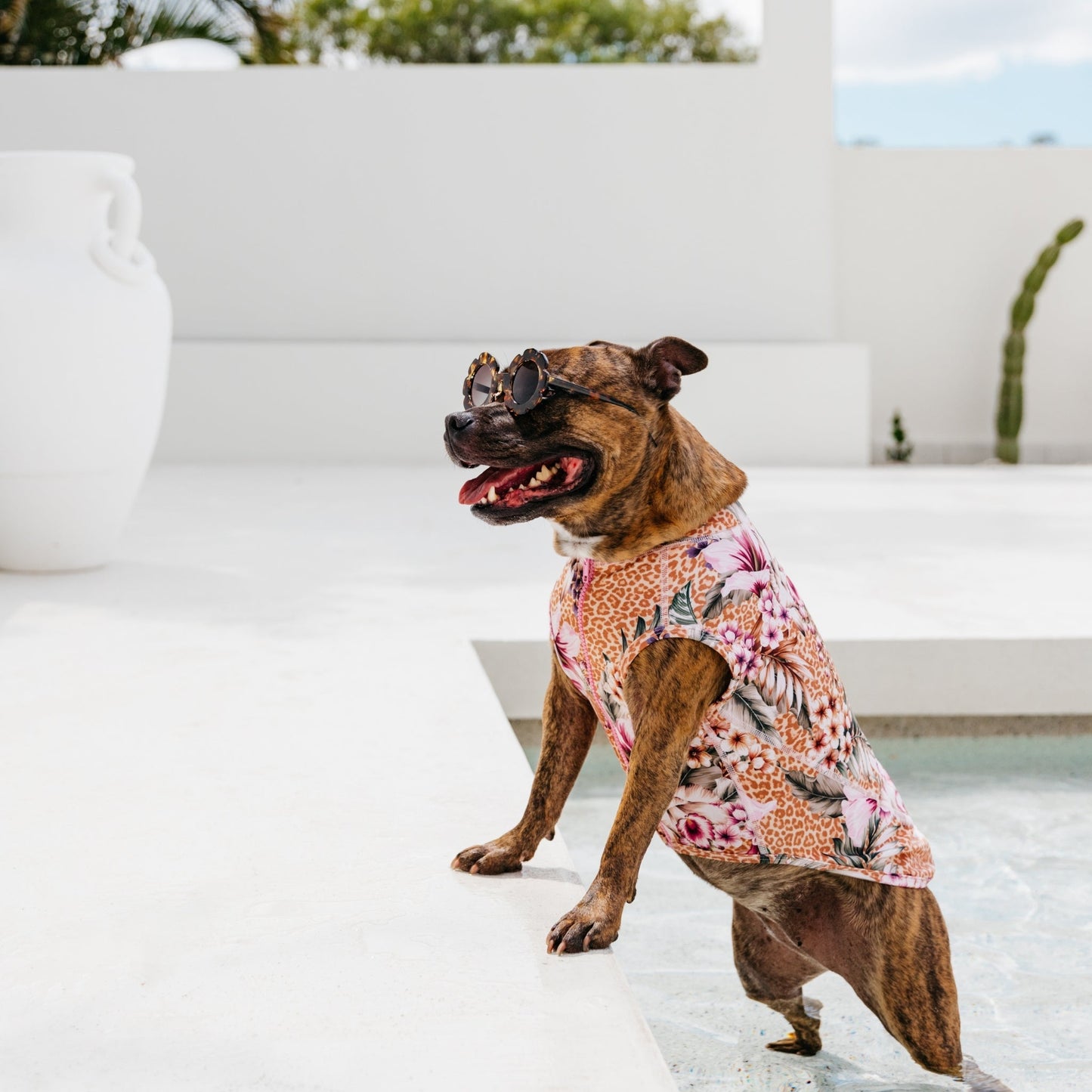 Floral Animal Print Sun Protective Dog Rashie Australia