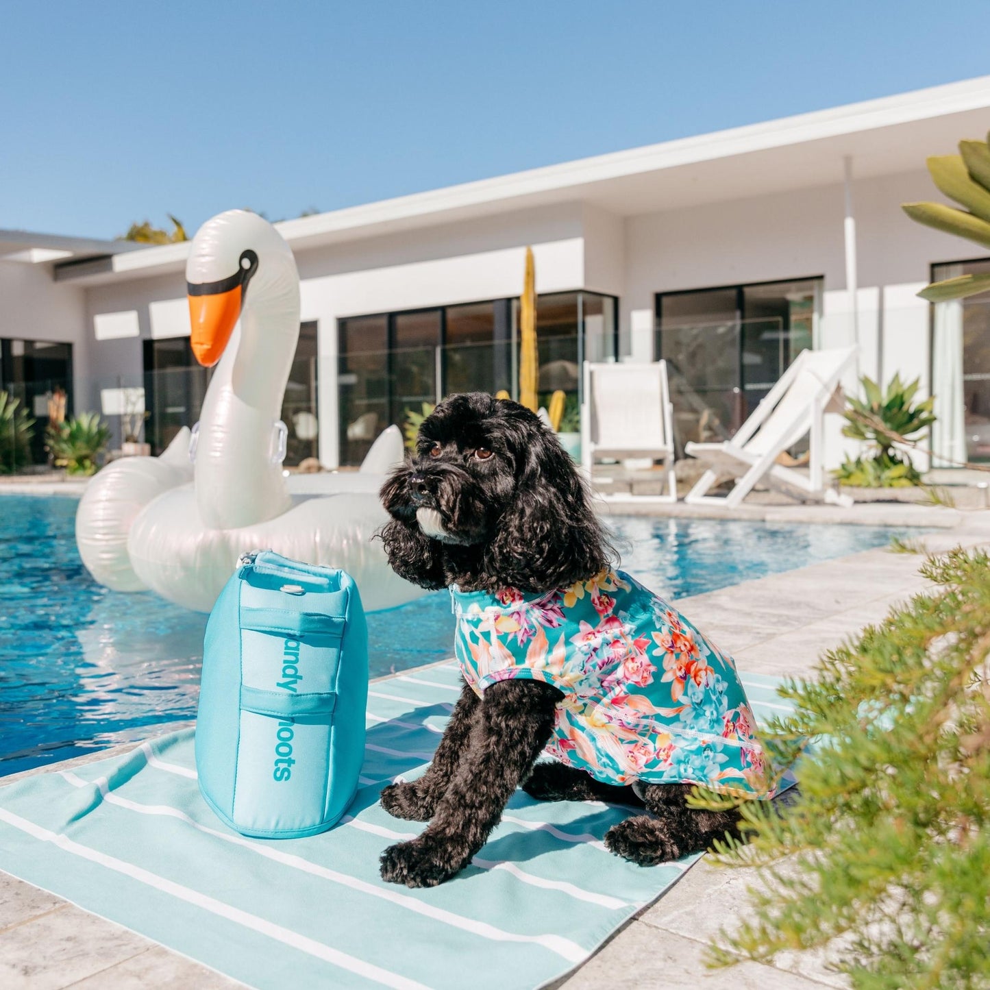 Green Orchid Floral Sun Protective Dog Rashie Australia