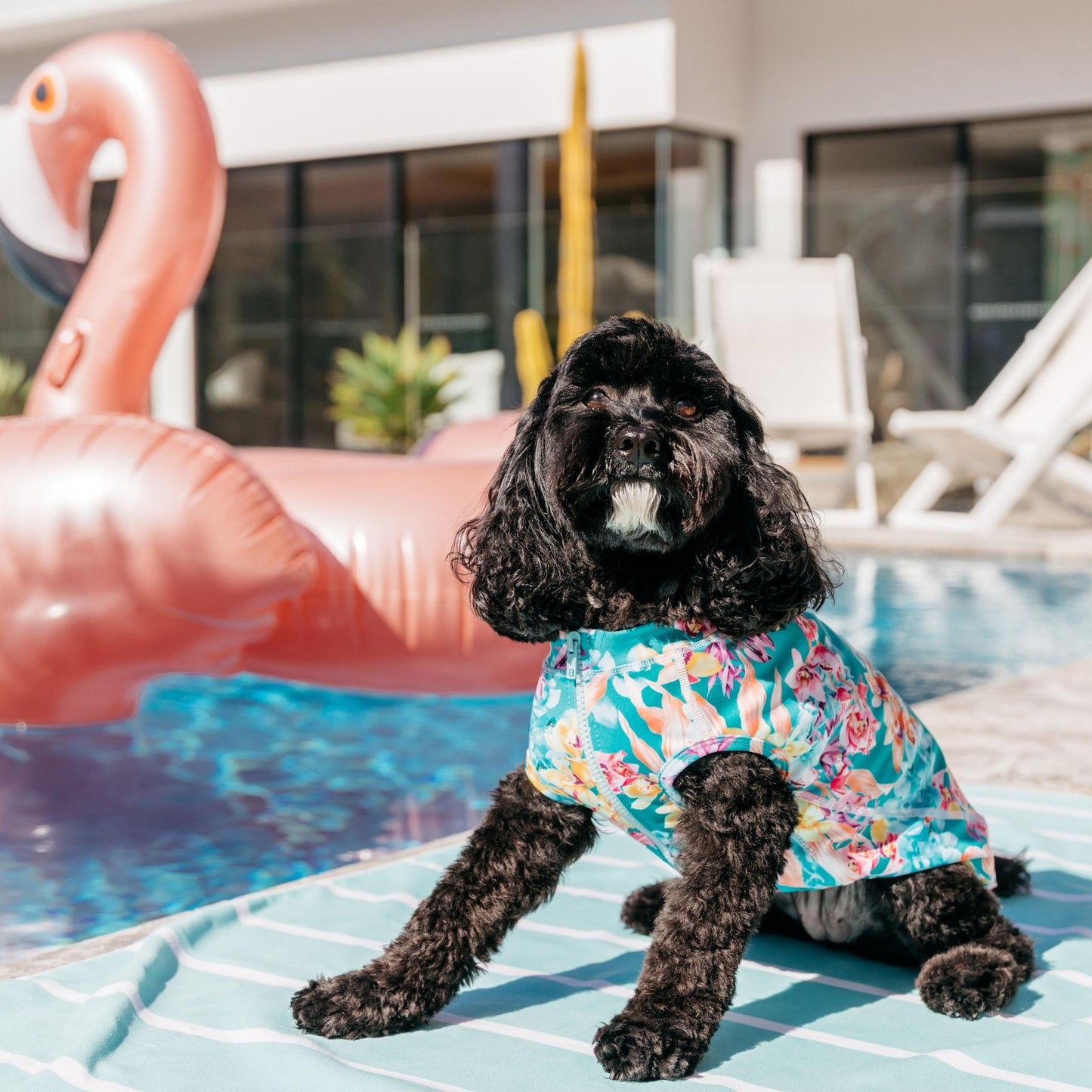 Green Orchid Floral Sun Protective Dog Rashie Australia