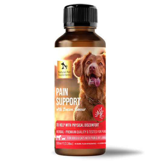 Pain Support Herbal Tincture For Dogs and Cats 100ml