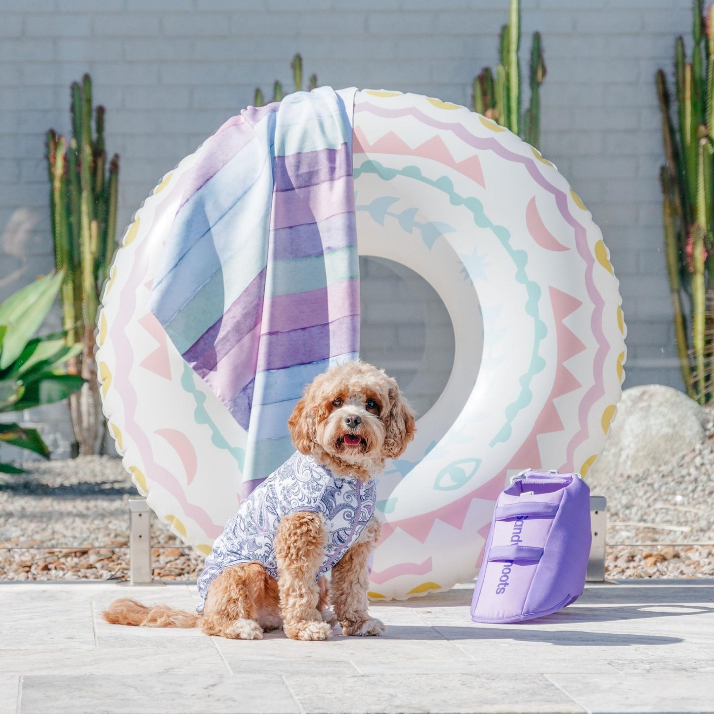 Purple Paisley Sun Protective Dog Rashie Australia