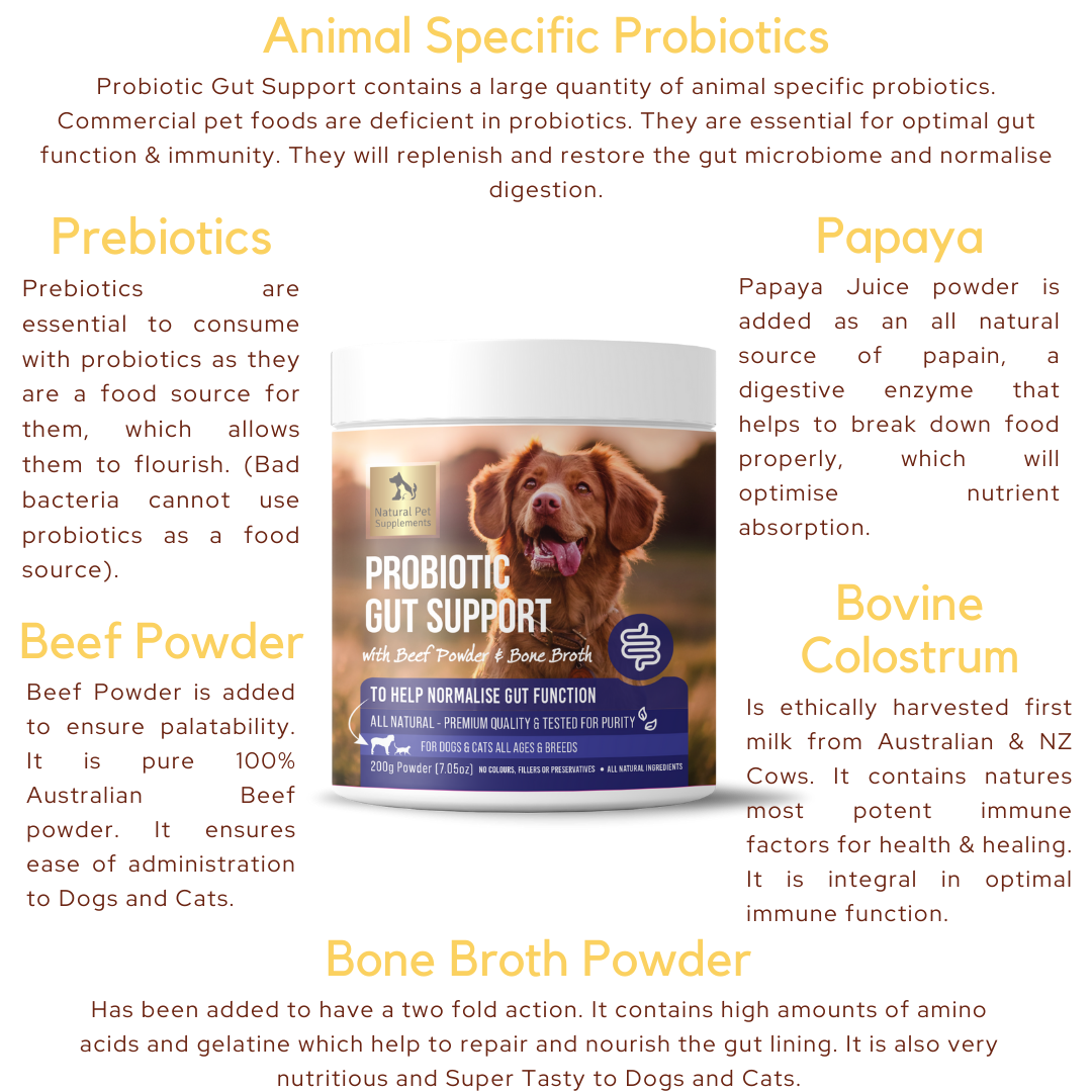 Animal 2024 essentials probiotic