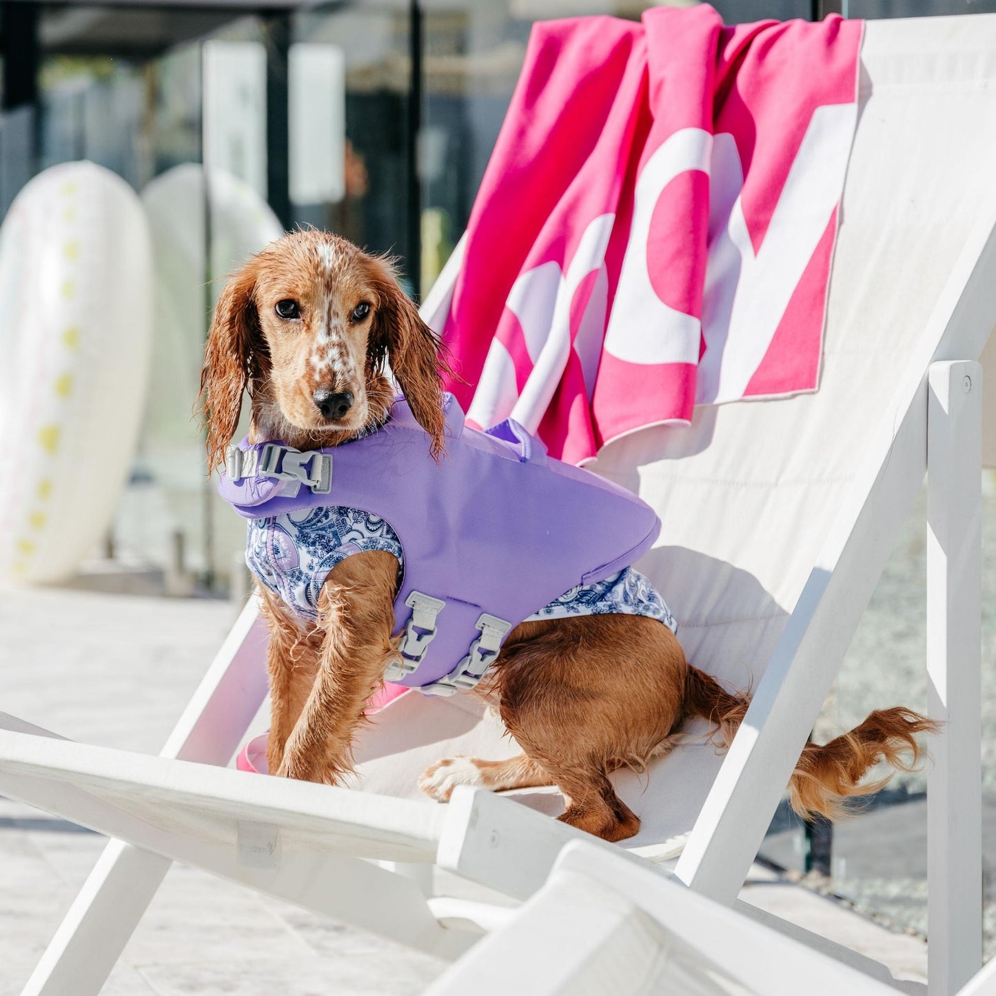 Seashell Purple Dog Life Jacket Australia