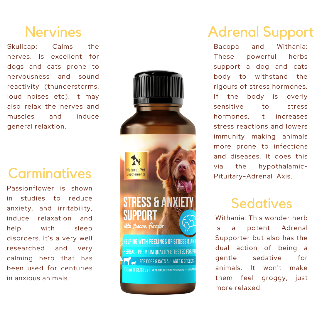 Stress Support Herbal Tincture For Dogs and Cats 100ml
