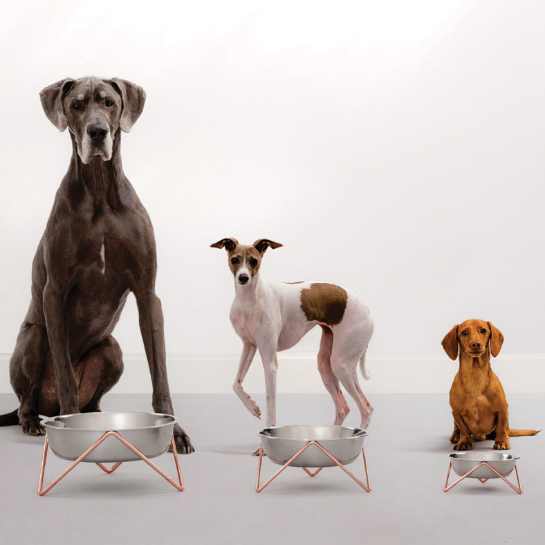 'WOOF XL' Dog Bowl