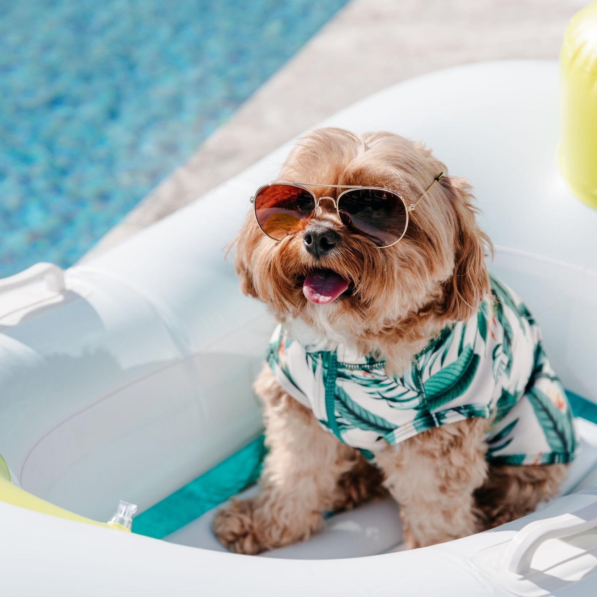 Tropical Green Leaves Sun Protective Dog Rashie Australia