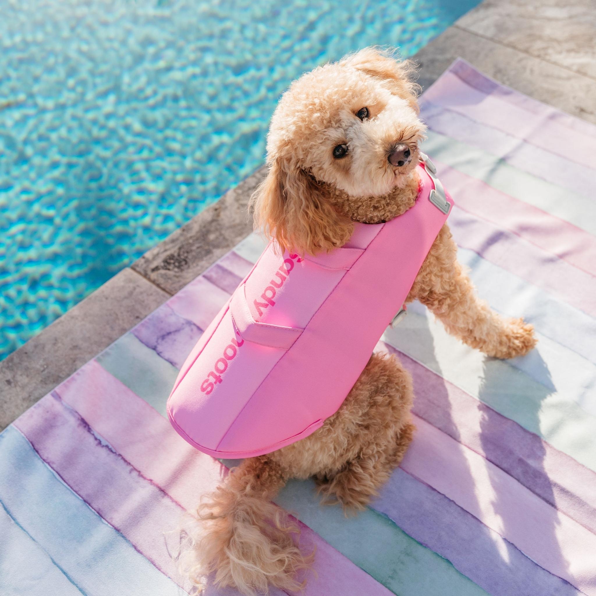 Dog on sale life jacket