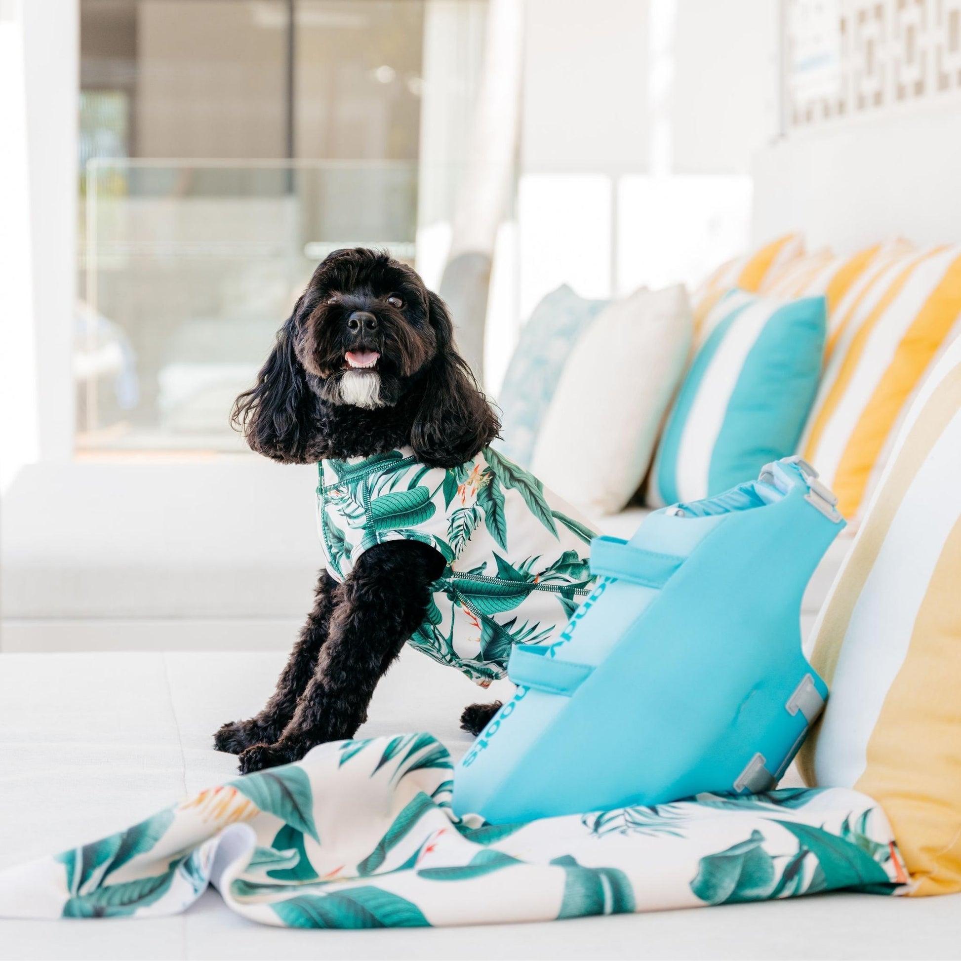 Tropical Green Leaves Sun Protective Dog Rashie Australia
