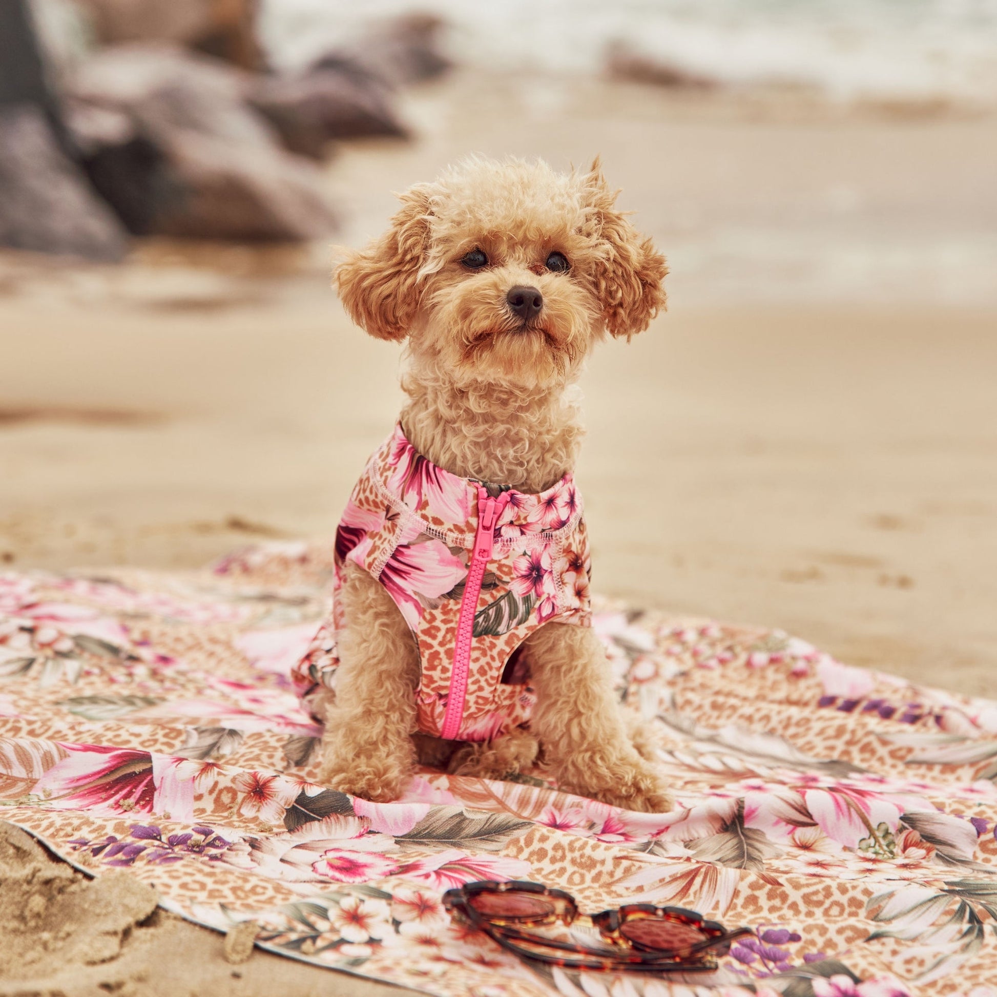 Lightweight Microfibre Floral Animal Print Dog Travel Beach Towel Australia