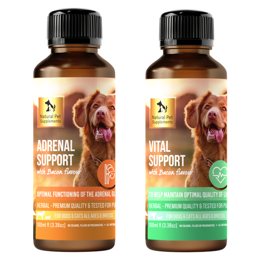 Shop Natural Pet Supplements Cushings Decease Treatment Bondi Vet