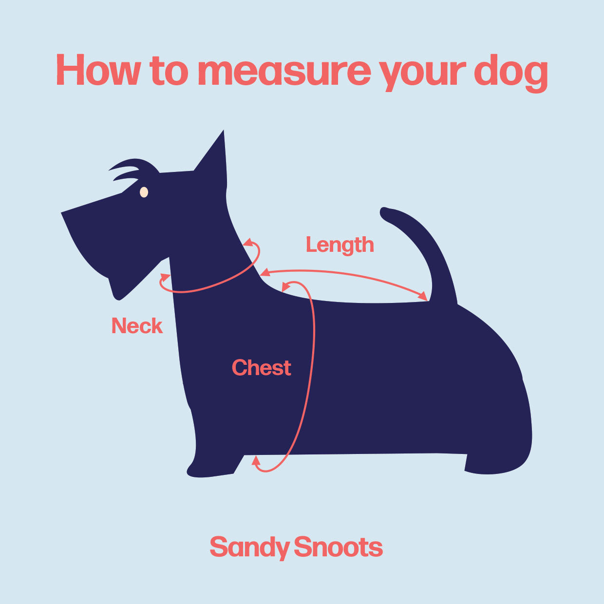 How to measure your dog