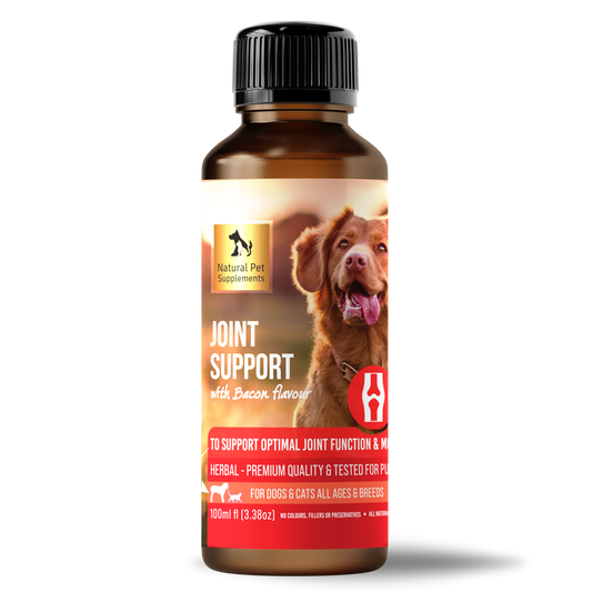 Joint Support Herbal Tincture for Dogs and Cats 100ml