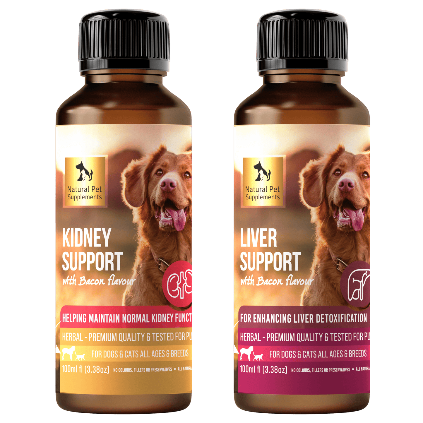 Kidney Support Kit for Dogs and Cats