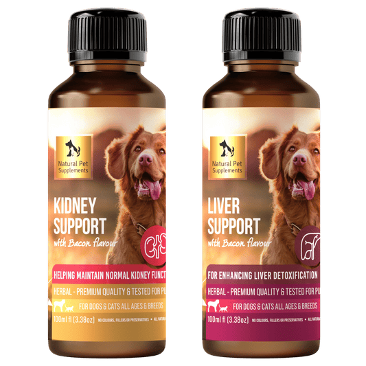 All natural best sale dog supplements
