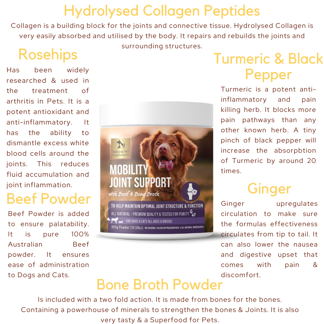 Collagen peptides for sales dogs