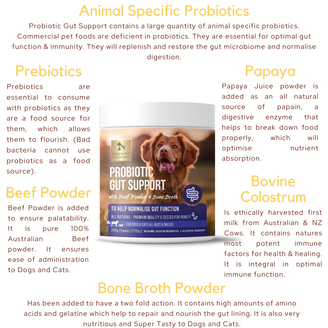 Probiotic Gut Support for Dogs and Cats 200g