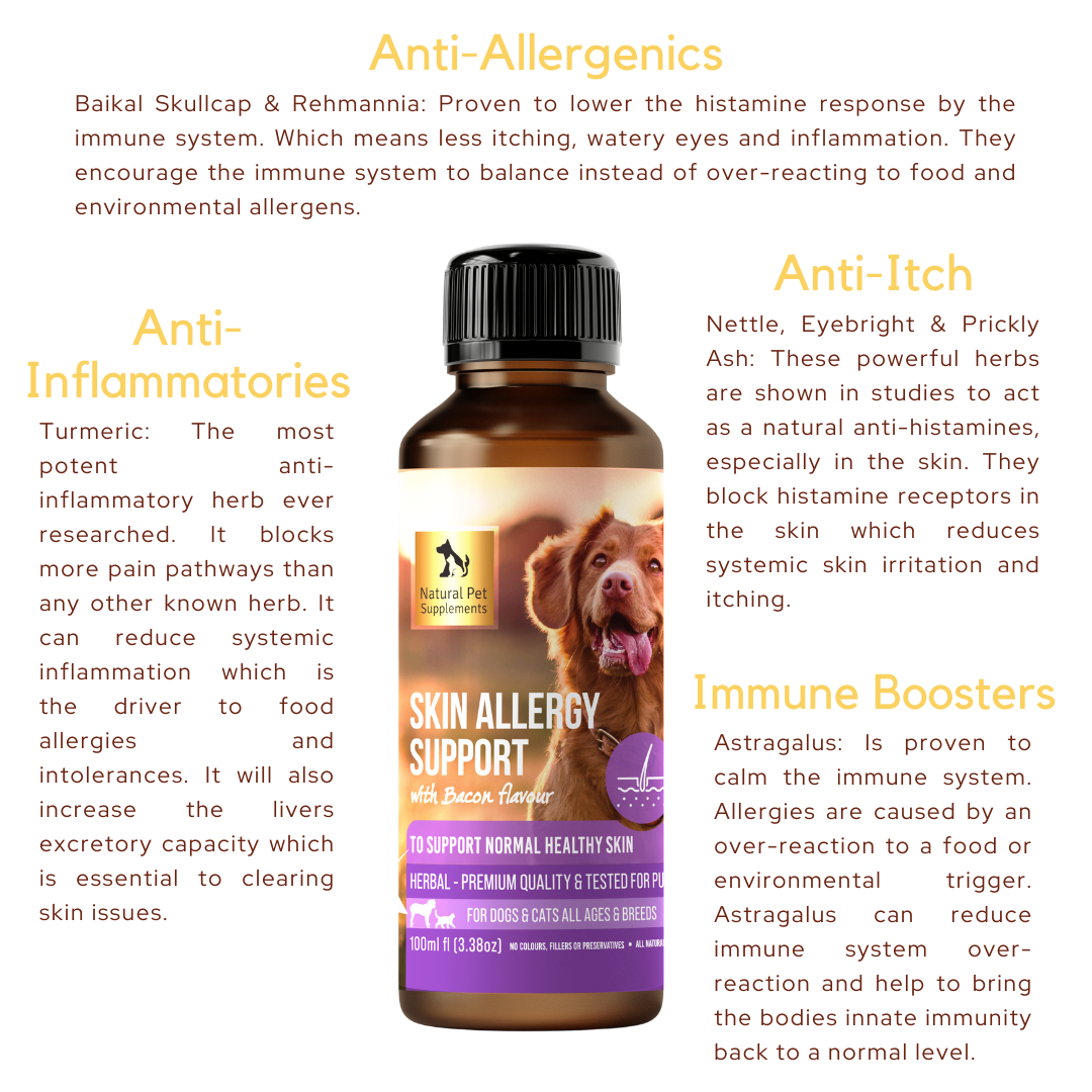 Skin Allergy Support Herbal Tincture For Dogs and Cats Bondi Vet