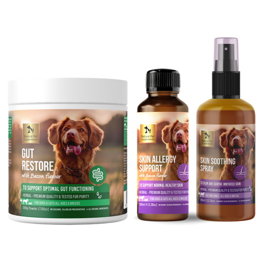 Skin Allergy Kit for Dogs and Cats