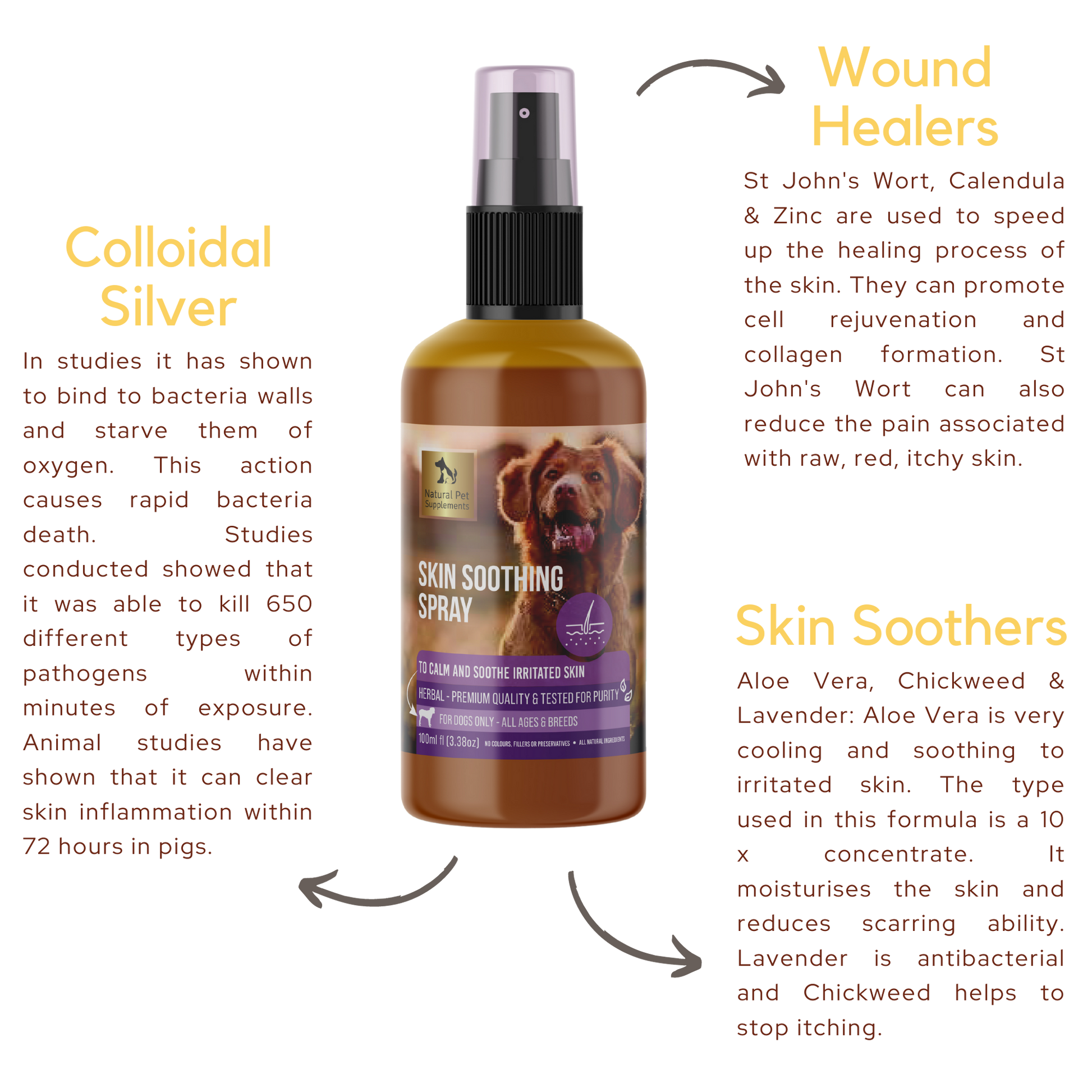 Skin Soothing Spray for Dogs 100ml Bondi Vet