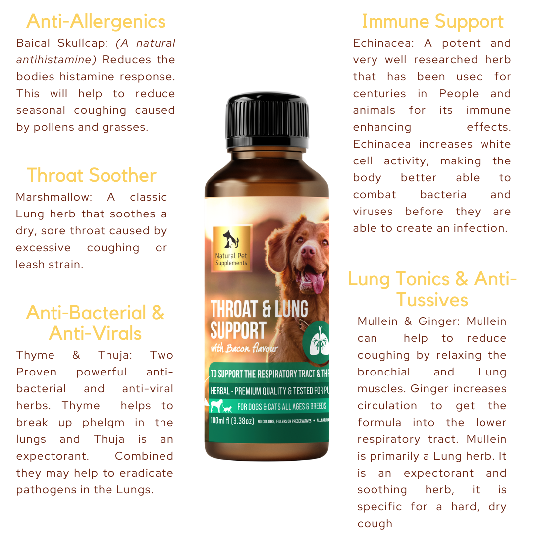 Throat and Lung Support Herbal Tincture For Dogs and Cats