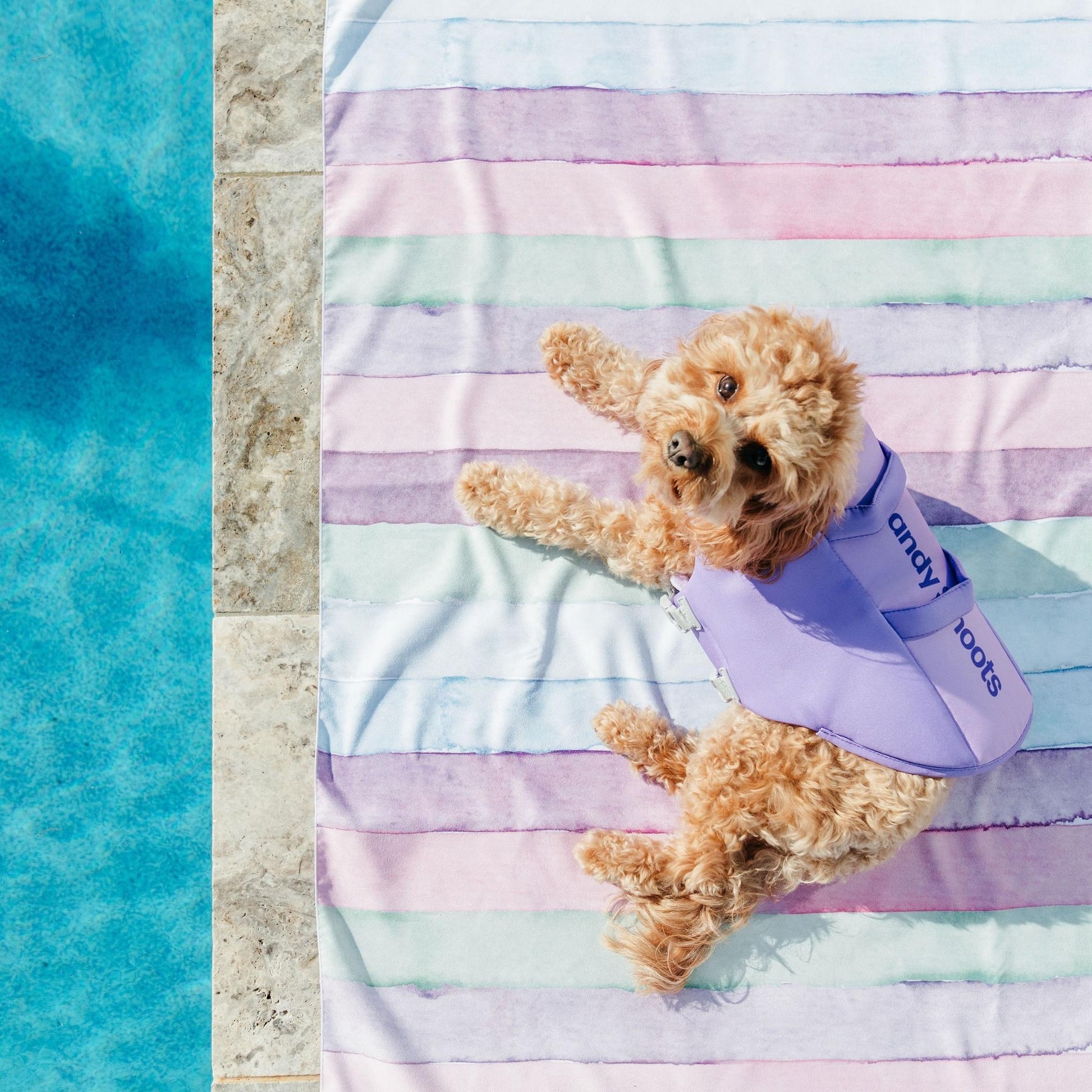 Pastel Stripe Lightweight Microfibre Dog Beach Travel Towel Australia