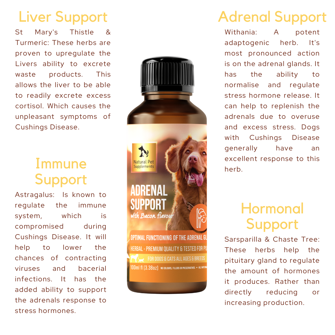 Adrenal Support Herbal Tincture For Dogs and Cats