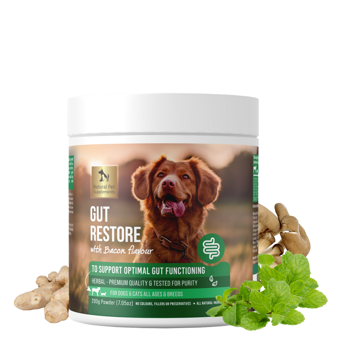 Gut Restore Powder for Dogs and Cats, Bacon Flavour, 200g